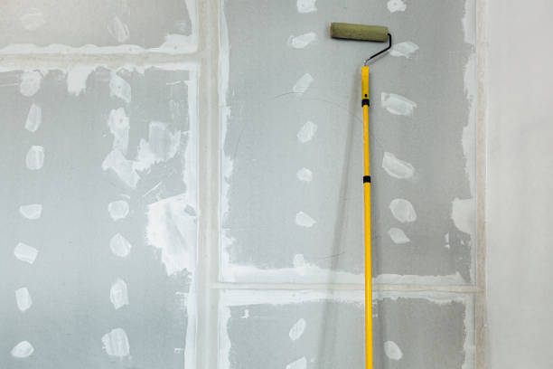 Best Attic Mold Removal  in New Madrid, MO